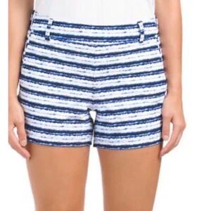 SPANX Sunshine Shorts‎ 4" Inseam Blue Painted Stripe Women Size Large 50212R New